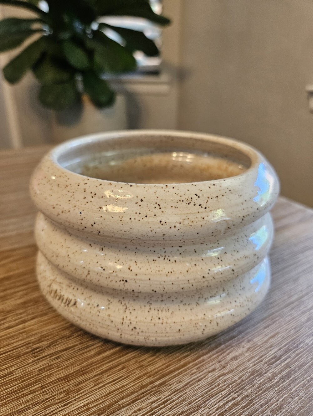Magnolia Ferny's Speckled White Planter